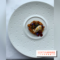 Oiseau Blanc Peninsula