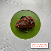 Oiseau Blanc Peninsula