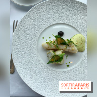 Oiseau Blanc Peninsula