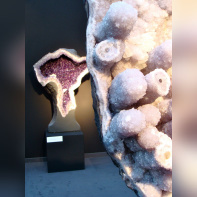 Salon du collectionneur 2009 - Grand Palais