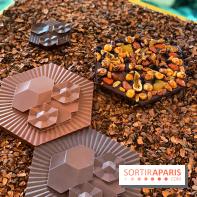 Chocolats de Noël 2021 Alain Ducasse