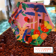 Chocolats de Noël 2021 Alain Ducasse