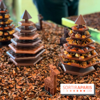 Chocolats de Noël 2021 Alain Ducasse