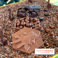 Chocolats de Noël 2021 Alain Ducasse