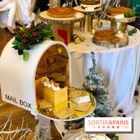 Bûches de Noël 2021 Hugo & Victor