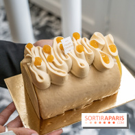 Photos : Les Bûches de Noël 2021 de Philippe Conticini