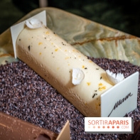 Photos : Les Bûches de Noël 2021 et galettes 2022 de Pierre Chirac et Stephanie Le Quellec