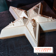 Photos : Les Bûches de Noël Evok 2021 et galette 2022 par Yann Brys