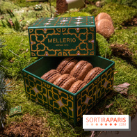 Photos : Bûche de Noël 2021 et Galette 2022 de Ladurée par Julien Alvarez