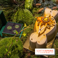 Photos : Bûche de Noël 2021 et Galette 2022 de Ladurée par Julien Alvarez