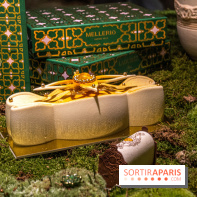 Photos : Bûche de Noël 2021 et Galette 2022 de Ladurée par Julien Alvarez