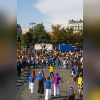 techno, parade, techno parade 2009