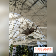 Halloween au Parc Astérix 2021, Peur sur le Parc