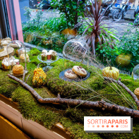  Sucré Cœur, nos photos