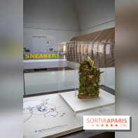 Exposition : Sneakers, les baskets entrent au musée, les photos