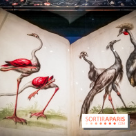 Les animaux du Roi, une exposition qui a du chien au Château de Versailles - nos photos