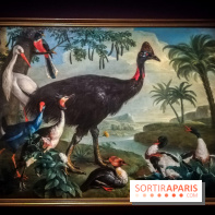 Les animaux du Roi, une exposition qui a du chien au Château de Versailles - nos photos