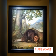 Les animaux du Roi, une exposition qui a du chien au Château de Versailles - nos photos