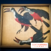 Les animaux du Roi, une exposition qui a du chien au Château de Versailles - nos photos