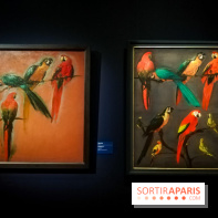 Les animaux du Roi, une exposition qui a du chien au Château de Versailles - nos photos