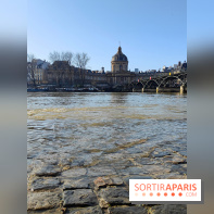 Visuel actualités - Crue Seine Institut de France