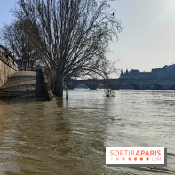 Visuel actualités - Crue Seine quais
