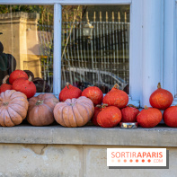 citrouille halloween légumes visuel actualités