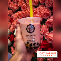Snowvan, le spot aux bubble tea et glaces insolites