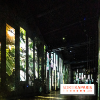 Photos : Destination Cosmos à l'Atelier des Lumières