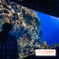 Photos : Odyssée sensorielle, l’expo immersive au Museum 