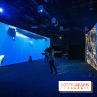 Photos : Odyssée sensorielle, l’expo immersive au Museum 