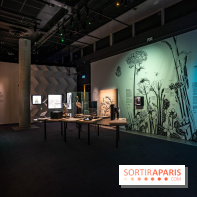 Photos : Odyssée sensorielle, l’expo immersive au Museum 