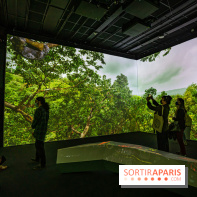 Photos : Odyssée sensorielle, l’expo immersive au Museum 