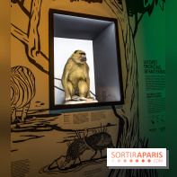 Photos : Odyssée sensorielle, l’expo immersive au Museum 