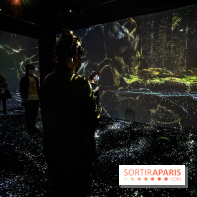 Photos : Odyssée sensorielle, l’expo immersive au Museum 