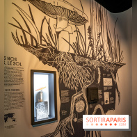 Photos : Odyssée sensorielle, l’expo immersive au Museum 