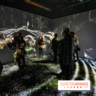 Photos : Odyssée sensorielle, l’expo immersive au Museum 