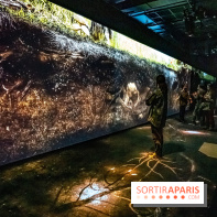 Photos : Odyssée sensorielle, l’expo immersive au Museum 