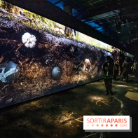 Photos : Odyssée sensorielle, l’expo immersive au Museum 