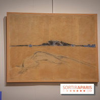 Asia Now 2021 : expositions Huong Dodinh et Thu-Van Tran au Musée Guimet