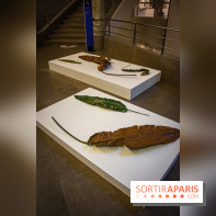 Asia Now 2021 : expositions Huong Dodinh et Thu-Van Tran au Musée Guimet