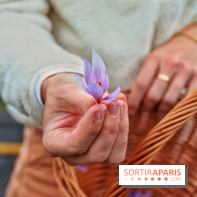 Des ateliers hors du temps pour cultiver le safran sur les toits de Paris