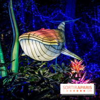 Thoiry Lumières Sauvages 2021-2022