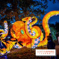 Thoiry Lumières Sauvages 2021-2022