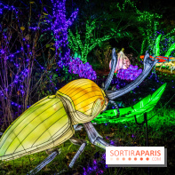 Thoiry Lumières Sauvages 2021-2022