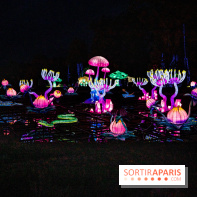 Thoiry Lumières Sauvages 2021-2022