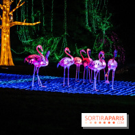 Thoiry Lumières Sauvages 2021-2022