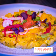 Lovebird : cocktails astrologiques et cuisine de saison à Paris