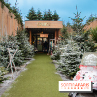 Chez Monix au Splash