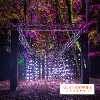 Lumières en Seine, les photos du parcours féérique 